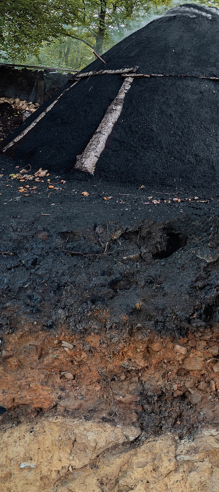 Kohlenmeilerboden 02